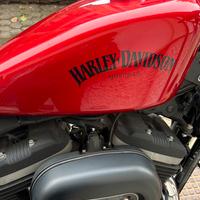 Harley Davidson 883 Iron XL883N