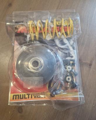 Variatore Malossi Multivar 2000 cod.5114273