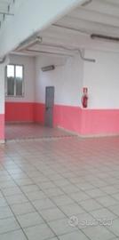 Varallo Pombia: capannone mq. 270