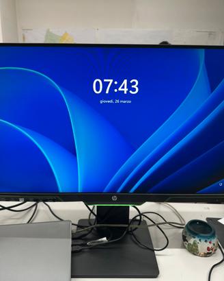 Monitor HP 25x