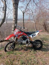 pit bike 150 ycf pilot 