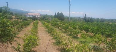 Terreno agricolo