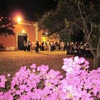 Masseria a Turi (Bari)