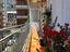 Immagine 12