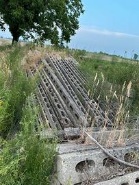 Pali in cemento per frutteto e/ o vigneto