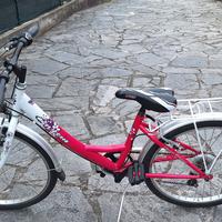 Bicicletta 24
