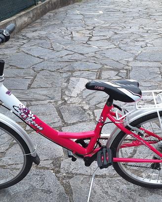Bicicletta 24