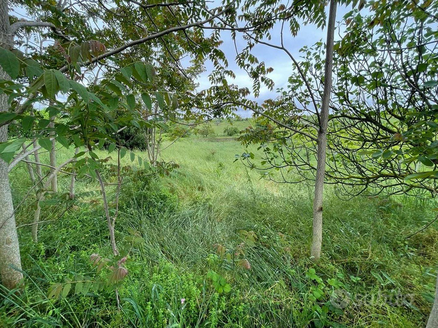 TERRENO PER IMPIANTI SPORTIVI - Vista 5