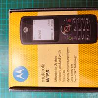 Cellulare Motorola W156