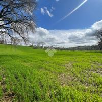TER. AGRICOLO A TORRI IN SABINA