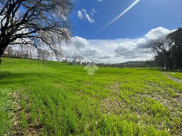 TER. AGRICOLO A TORRI IN SABINA