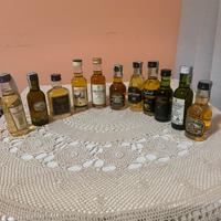 Lotto 11 Mignon Whisky da Collezione (Macallan…)