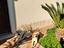 Immagine 6