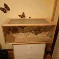 terrario XXL per roditori 