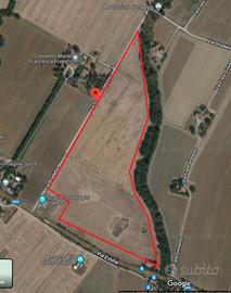 Terreno agricolo seminativo di circa 8 ettari