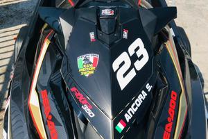 Seadoo RXP 350 riva racing performance stage III