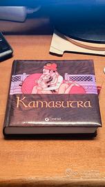 libro Kamasutra con disegni
