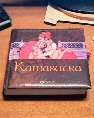libro Kamasutra con disegni