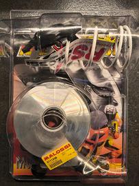 Variatore Malossi 5111258 ancora imballato