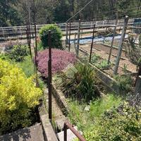 CASA SEMINDIPENDENTE A CAMANDONA