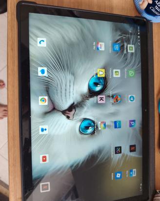 Tablet 14 pollici