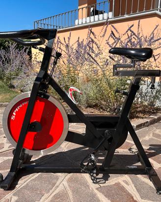 Bici da spinning professionale Schwinn