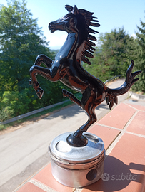 FERRARI cavallino