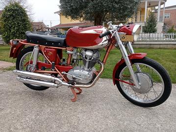ducati 200 elite