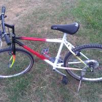 bicicletta mountain bike