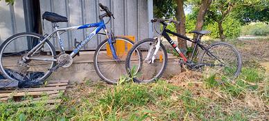  2 MTB 26 e 24 bottecchia e rockrider
