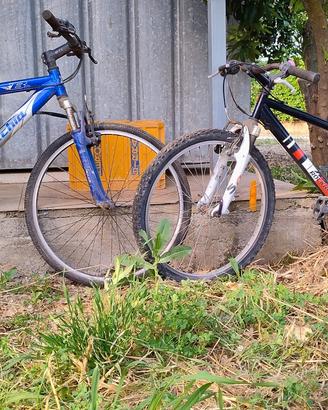  2 MTB 26 e 24 bottecchia e rockrider