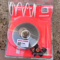 campana frizione malossi