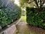 Immagine 21