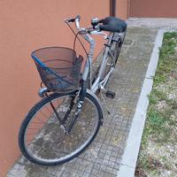 Bicicletta donna Alpina con cestino e portapacchi