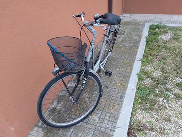 Bicicletta donna Alpina con cestino e portapacchi