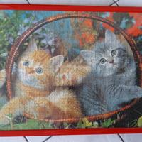 Puzzle gattini incorniciato 