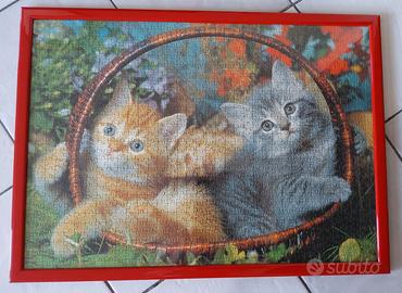 Puzzle gattini incorniciato 