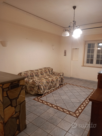 Miniappartamento zona Policlinico a professionisti