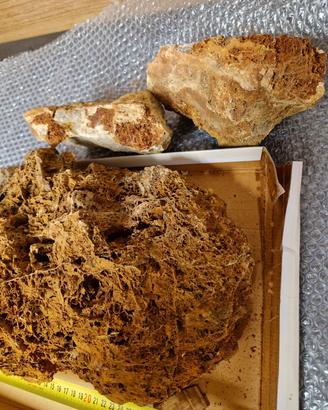 Rocce Acquario: Maple Leaf Rocks