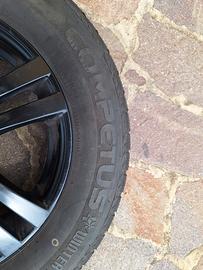cerchi più gomme