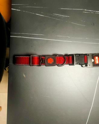 Collare cane Active L rosso NUOVO
