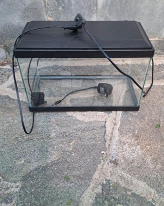 Acquario 20l