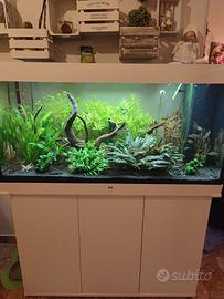 JUWEL Rio 350 LED completo e allestito