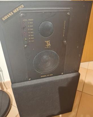 Casse acustiche 100 Watt