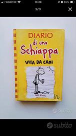 Diario di una schiappa