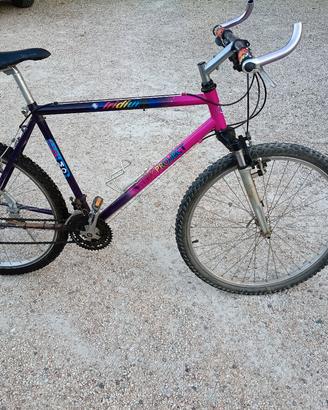 Bici Mountain bike taglia L