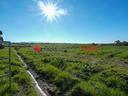 terreno-agricolo-rif-121224a
