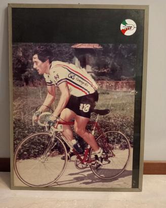 foto Saronni camp. italiano bicicletta Colnago 3T