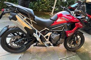 Triumph Tiger 1200  GT PRO
