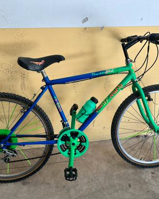 Bicicletta